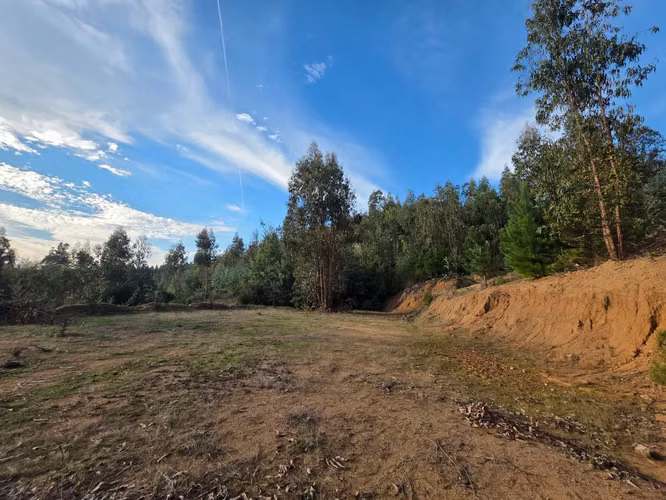 Parcelas, 5.000m2, a 25 min de Concepción, Copiulemu, Florida
