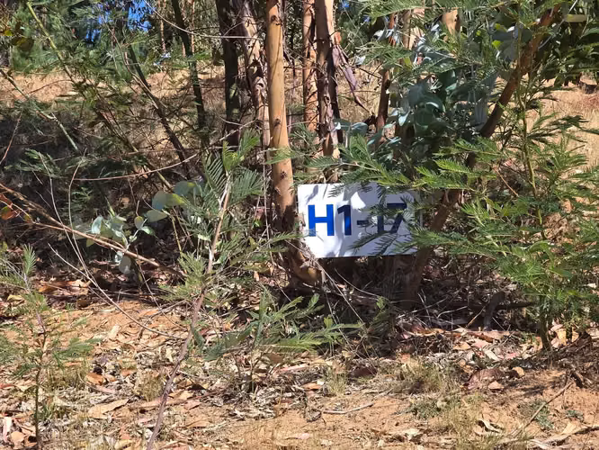 Parcelas, 5.000m2, a 25 min de Concepción, Copiulemu, Florida