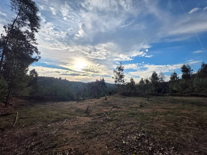 Parcelas, 5.000m2, a 25 min de Concepción, Copiulemu, Florida