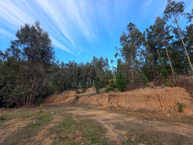 Parcelas, 5.000m2, a 25 min de Concepción, Copiulemu, Florida
