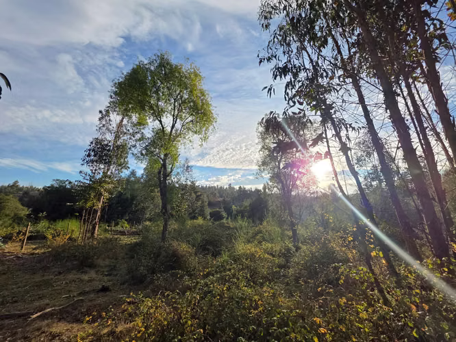 Parcelas, 5.000m2, a 25 min de Concepción, Copiulemu, Florida