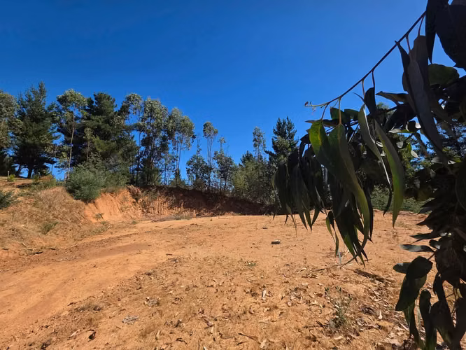Parcelas, 5.000m2, a 25 min de Concepción, Copiulemu, Florida