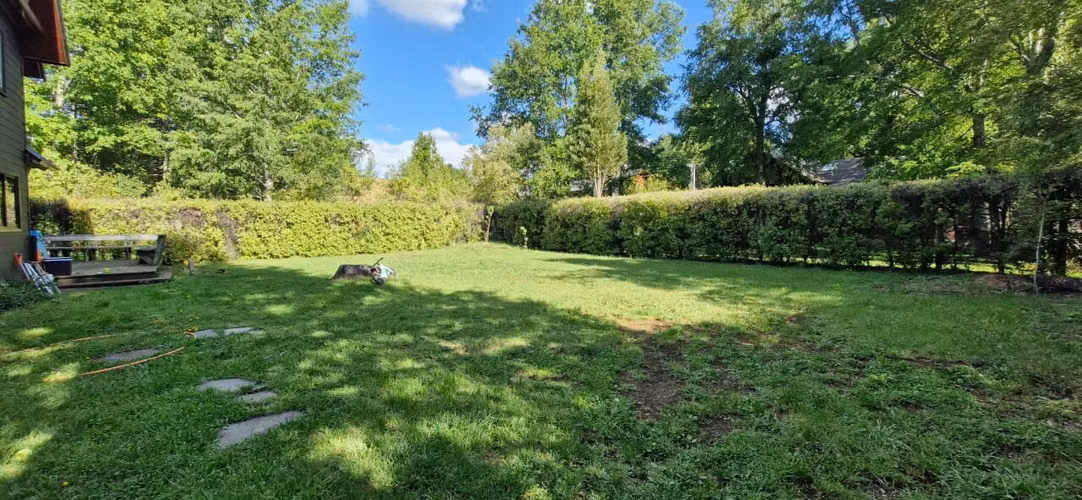 MARAVILLOSA CASA EN CONDOMINIO COINCO PUCON - Imagen 4