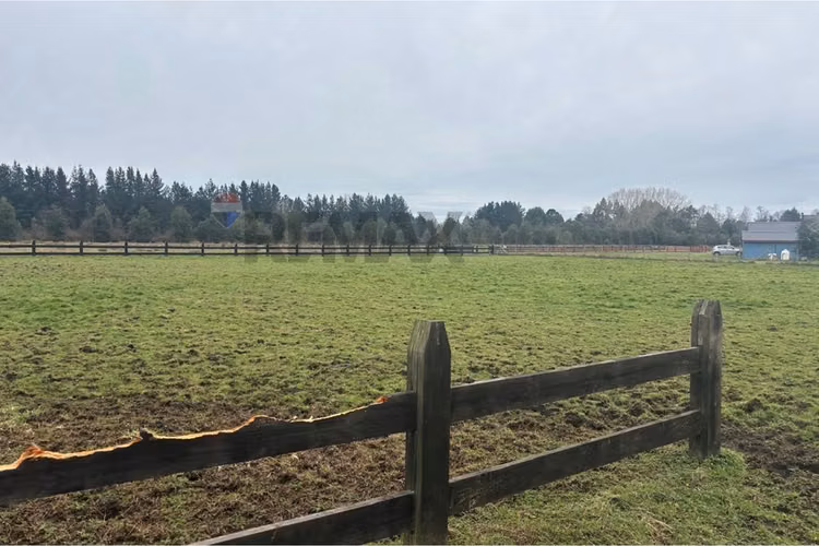 Excelente terreno de 5000 metros en frutillar