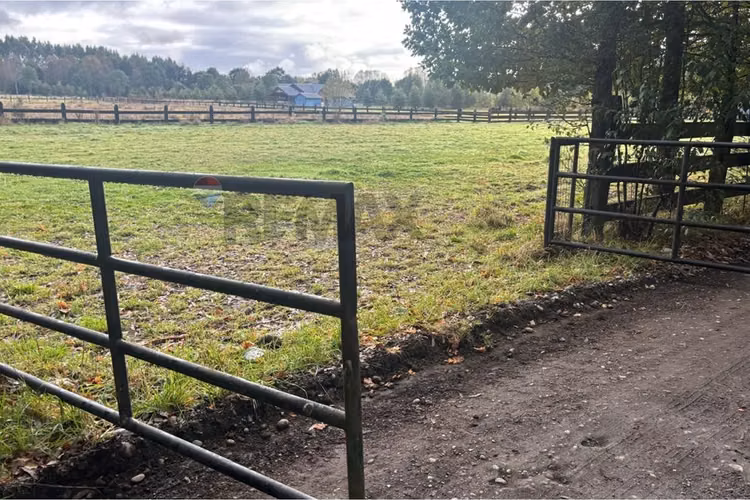 Excelente terreno de 5000 metros en frutillar