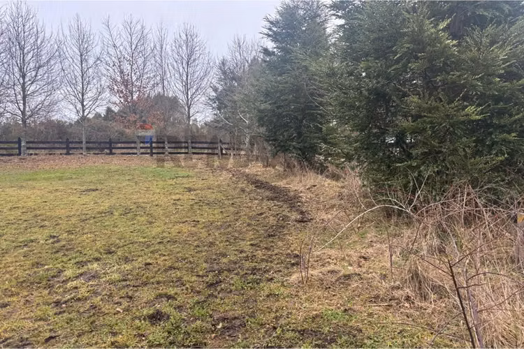 Excelente terreno de 5000 metros en frutillar