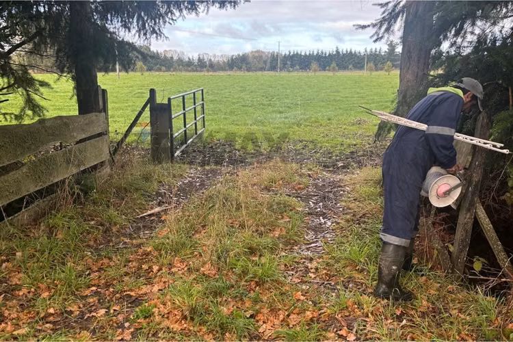 Excelente terreno de 5000 metros en frutillar
