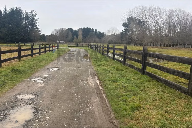 Excelente terreno de 5000 metros en frutillar