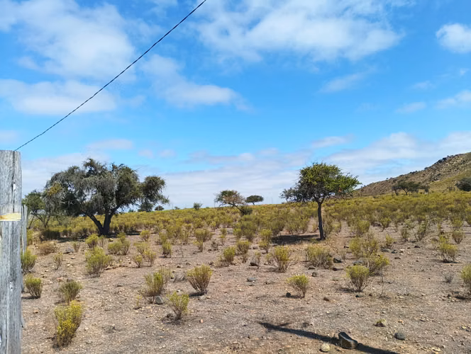 VENTA PARCELA PLANA Y CERCADA EN CAMPO LINDO