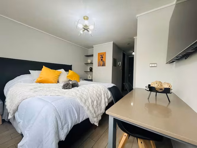 ARRIENDO DIARIO DEPARTAMENTO ESTUDIO  METRO PARQUE ALMAGRO