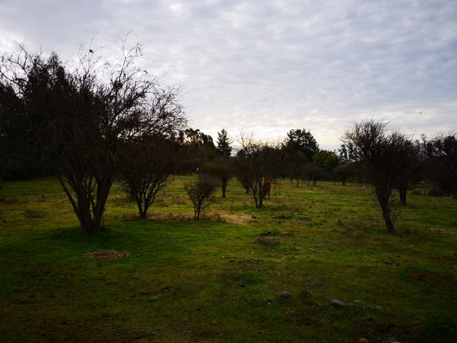 Terreno Loteo Caupolicán - 5.000m² - Imagen 6