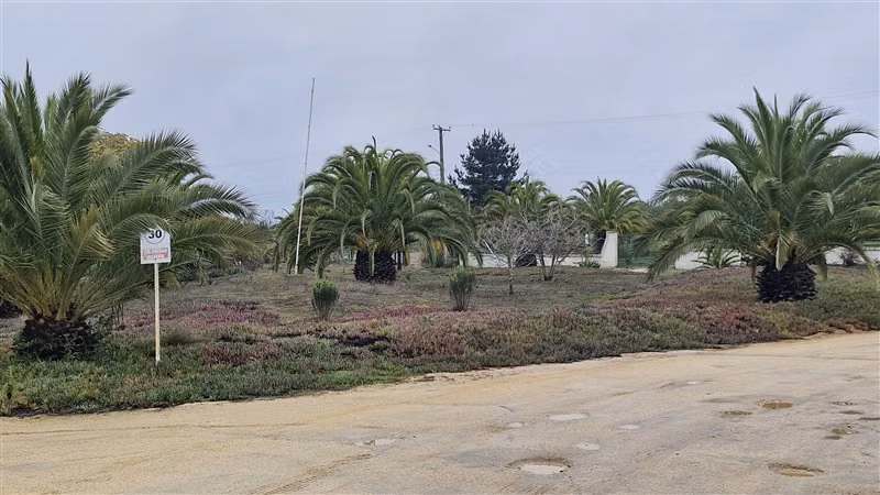 Parcela plana 4D 3D Pozo Profundo Parcelación en Algarrobo - Imagen 23