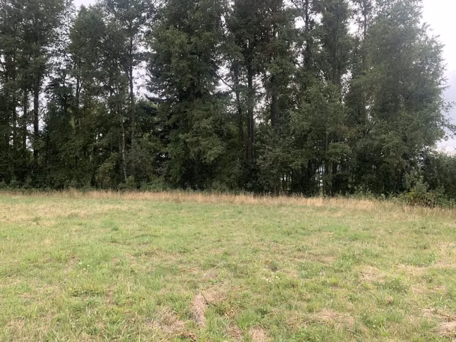 Vendo Casa en Parcela de 5000mt2 Conquil Villarrica, 2D1B