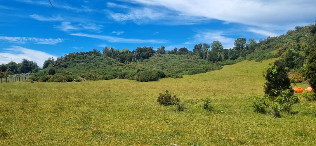 Venta Hermoso Terreno Sector Palqui