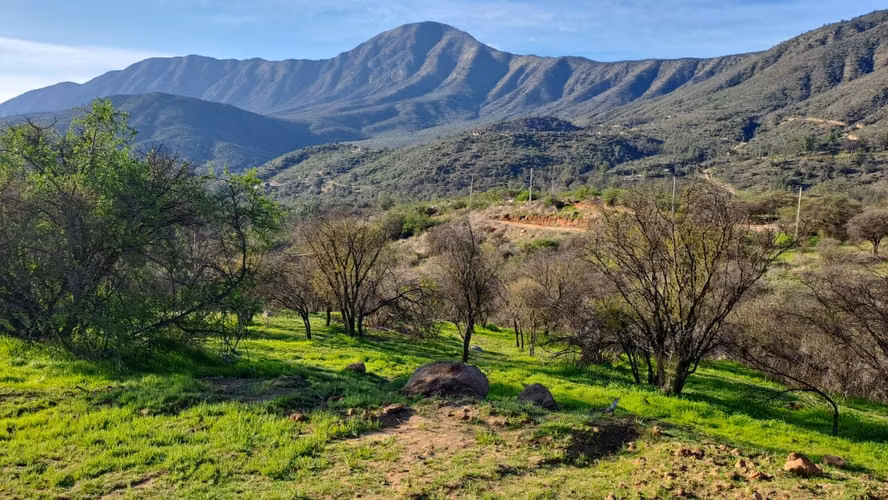 Parcela 5.000 m² en condominio Reserva Oasis de La Campana