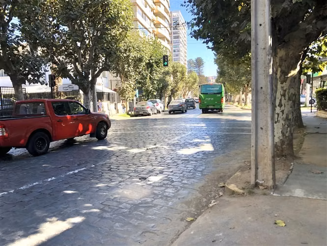 Versátil Propiedad Comercial en venta en Viña del Mar