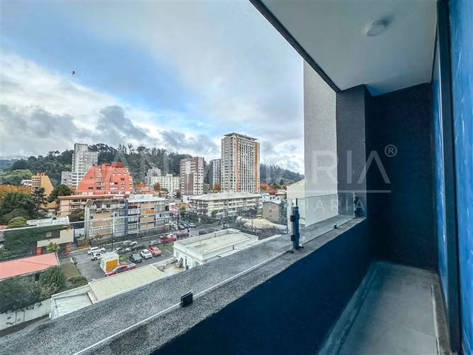 Arriendo Dpto. 1 Dorm. cerca de Udec en Tucapel, Concepción