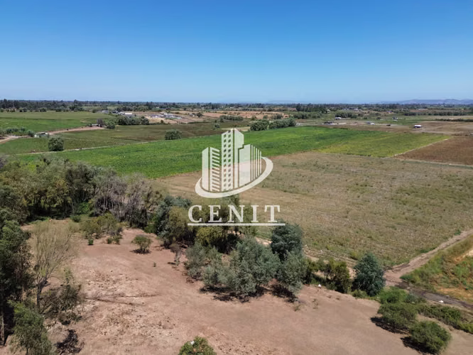 VENTA DE PARCELA EN PELARCO, 20 MIN DE TALCA - Imagen 6