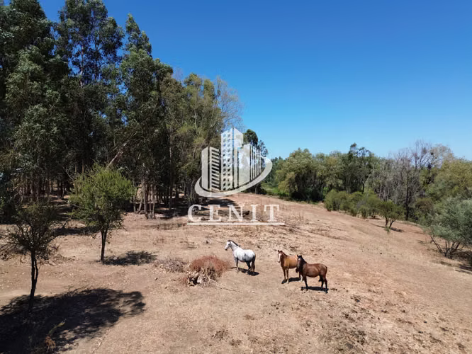 PARCELA EN VENTA PELARCO, 20 MIN DE TALCA