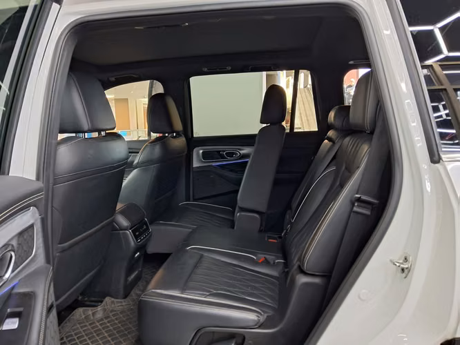 GAC GS8 2.0 AUT 2.0 AUT 2024