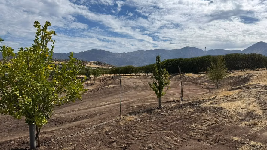VENTA PARCELA HACIENDA DE CHACABUCO COLINA