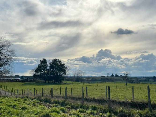 Oportunidad de Inversión a 17km Puerto Varas (177925)
