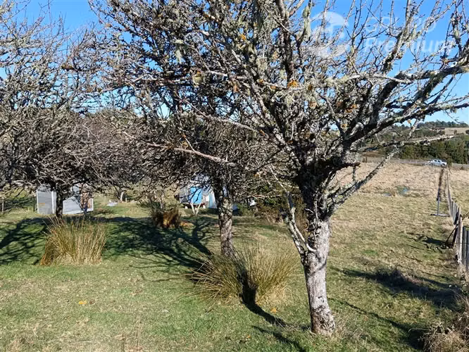 PARCELA CON CASA EN VENTA EN MONTEMAR / QUEMCHI