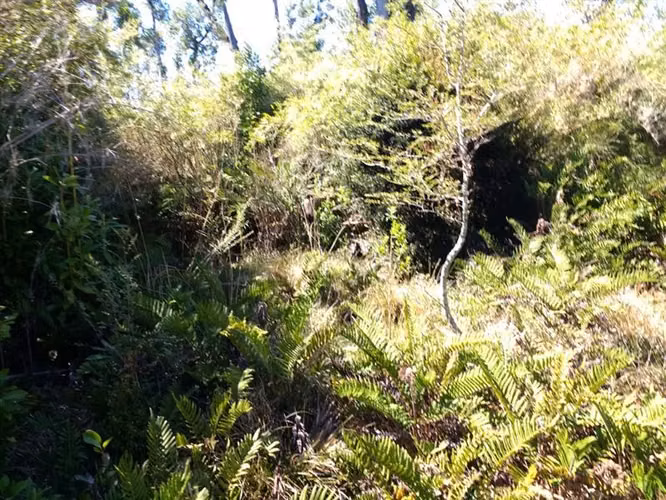 Campo Parcela en venta en Ancud