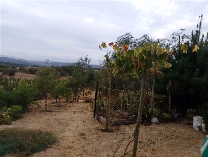 Venta de Parcela con Casa en Matancilla, Litueche.
