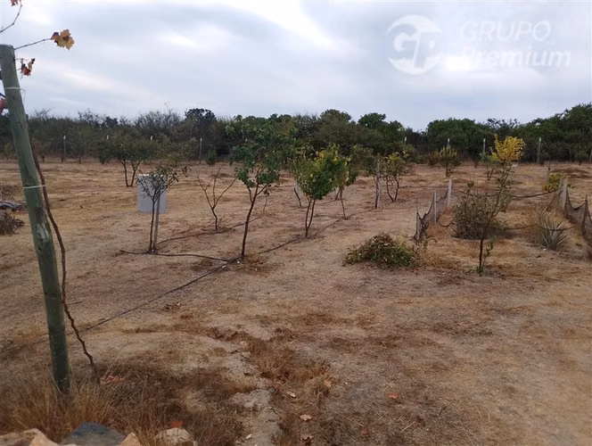 Venta de Parcela con Casa en Matancilla, Litueche.