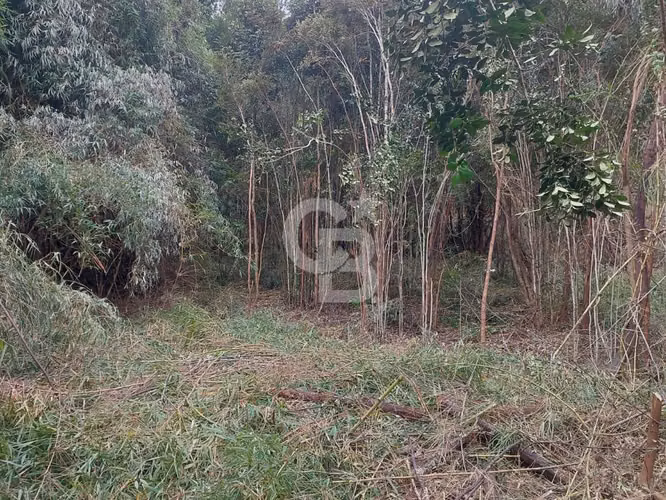 Parcela ecológica Altos de Polincay