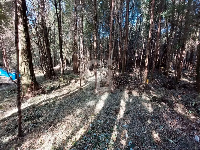 Parcela ecológica Altos de Polincay