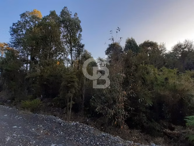 Parcela ecológica Altos de Polincay