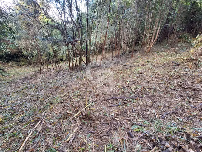 Parcela ecológica Altos de Polincay