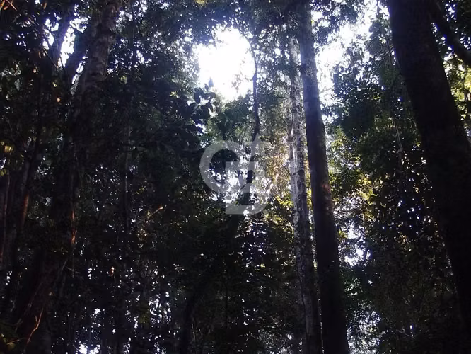 Parcela ecológica Altos de Polincay