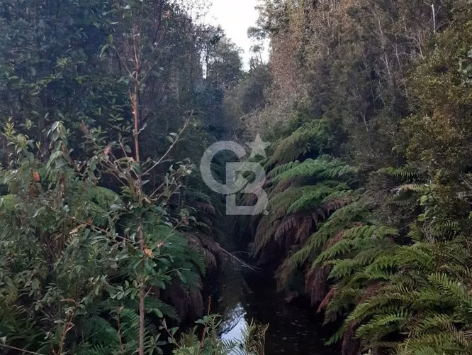 Parcela ecológica Altos de Polincay