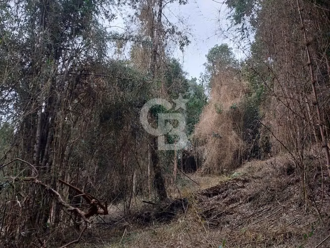 Parcela ecológica Altos de Polincay
