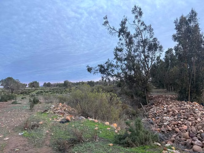 Inversión Segura: 27 Há y Agua en Ovalle (178004)