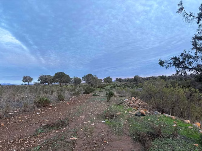 Inversión Segura: 27 Há y Agua en Ovalle (178004)
