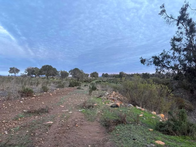 Inversión Segura: 27 Há y Agua en Ovalle (178004)