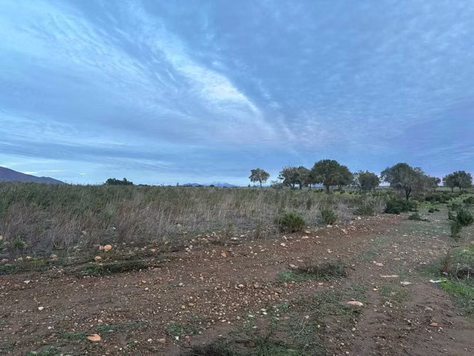Inversión Segura: 27 Há y Agua en Ovalle (178004)