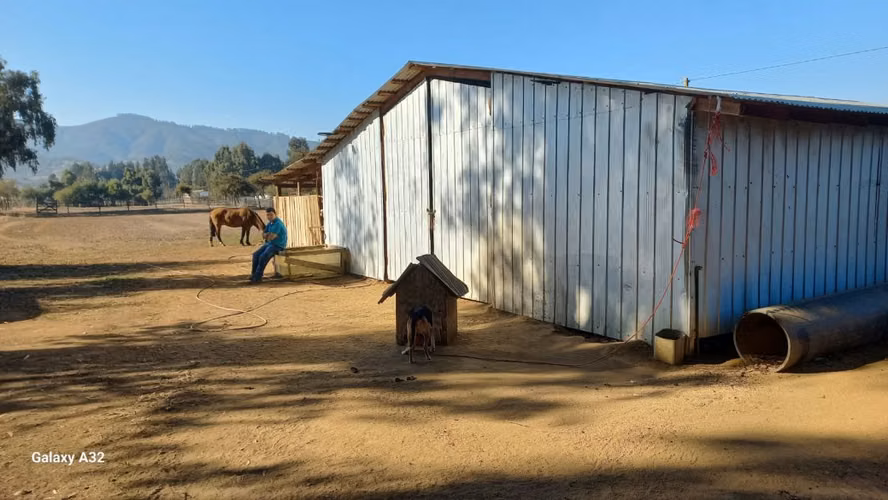 VIVE EN ARMONÍA CON LA NATURALEZA EN PUMANQUE