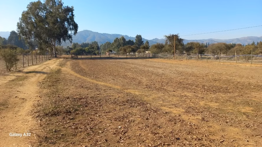VIVE EN ARMONÍA CON LA NATURALEZA EN PUMANQUE