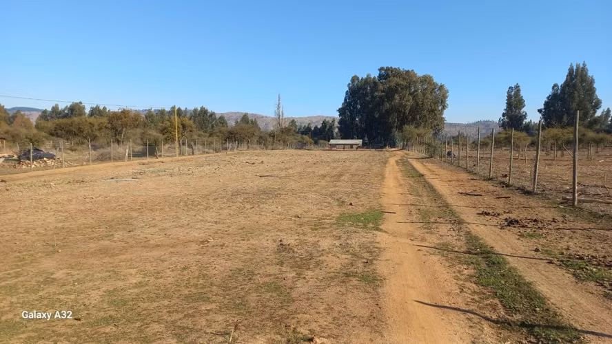 VIVE EN ARMONÍA CON LA NATURALEZA EN PUMANQUE