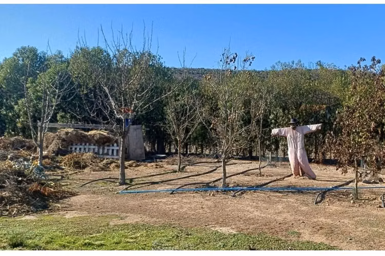¡tu paraíso campestre en melipilla te espera!