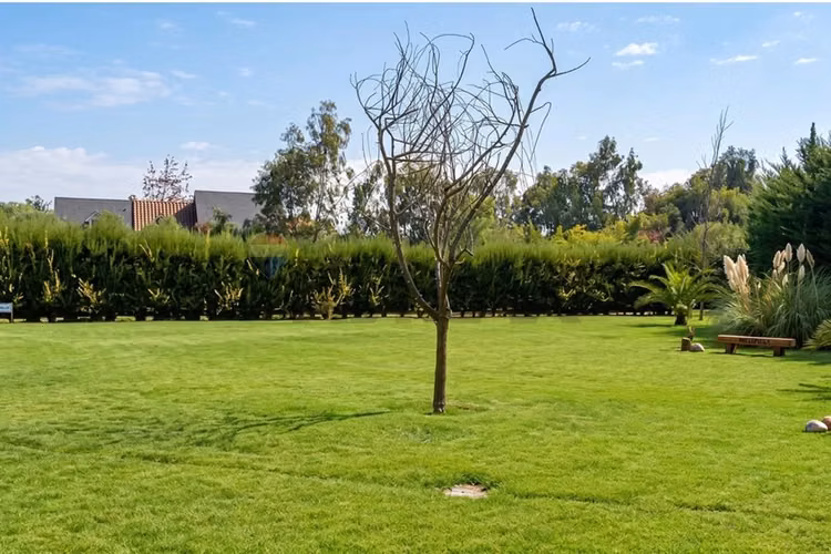 Vende parcela de agrado bollenar melipilla