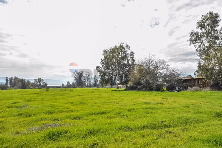 Terreno - 5,7 hectáreas en el colorado, colina - Imagen 15