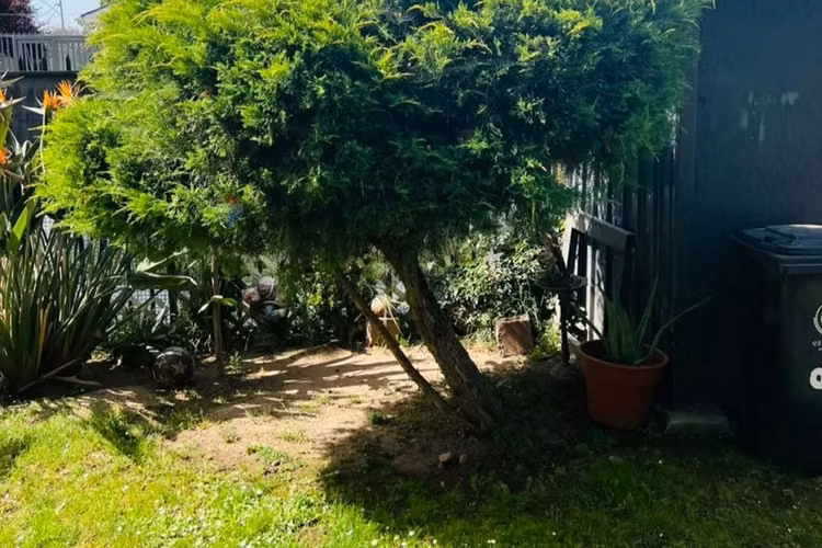 ¡inversión ideal!" casa en venta en la florida - Imagen 2