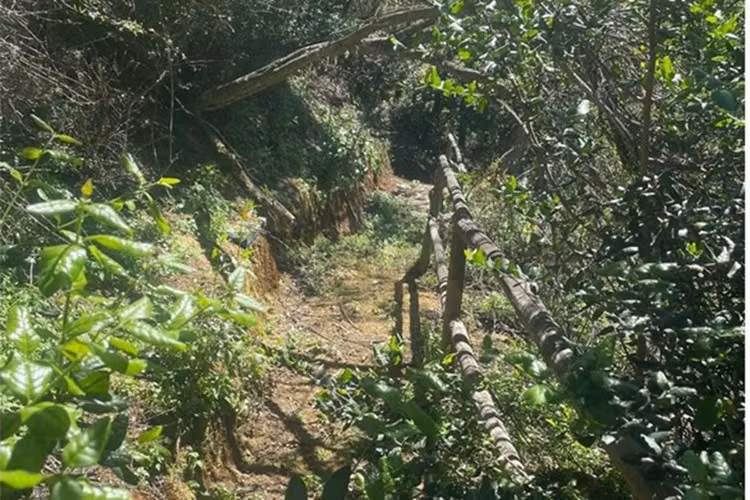 "tu refugio natural en curacaví" - Imagen 7