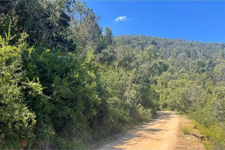 "tu refugio natural en curacaví" - Imagen 4
